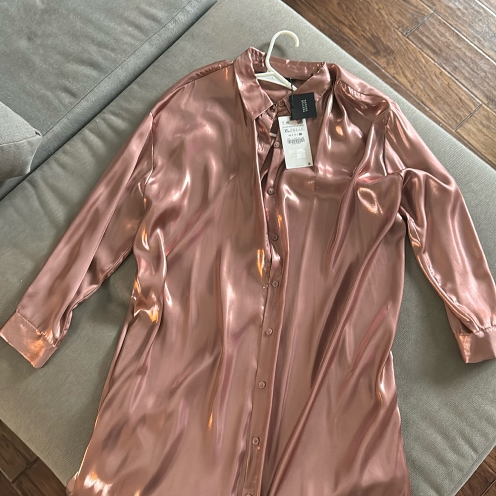 Zara-Pink iridescent blouse- button down- floor length- size xl